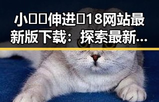 小🐔🐔伸进🈲18网站最新版下载：探索最新内容与安全保障