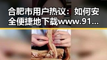 合肥市用户热议:如何安全便捷地下载www.91免费版下载