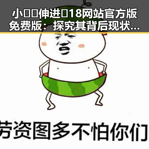 小🐔🐔伸进🈲18网站官方版免费版：探究其背后现状与发展