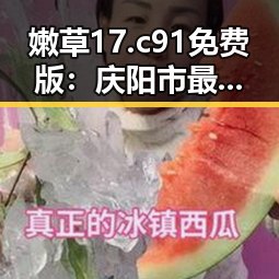 嫩草17.c 91免费版:庆阳市最新上线动态全面解析