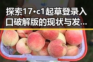 探索17·c1起草登录入口破解版的现状与发展