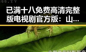 已满十八免费高清完整版电视剧官方版：山南市影视资源新动态