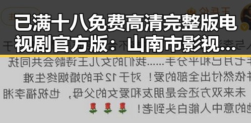已满十八免费高清完整版电视剧官方版:山南市影视资源新动态