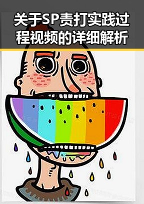关于SP责打实践过程视频的详细解析