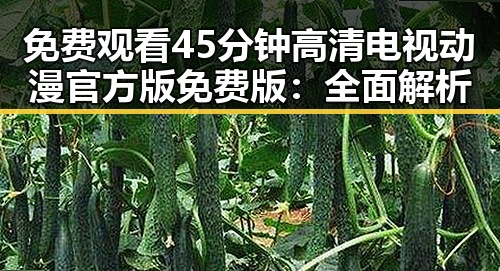免费观看45分钟高清电视动漫官方版免费版:全面解析