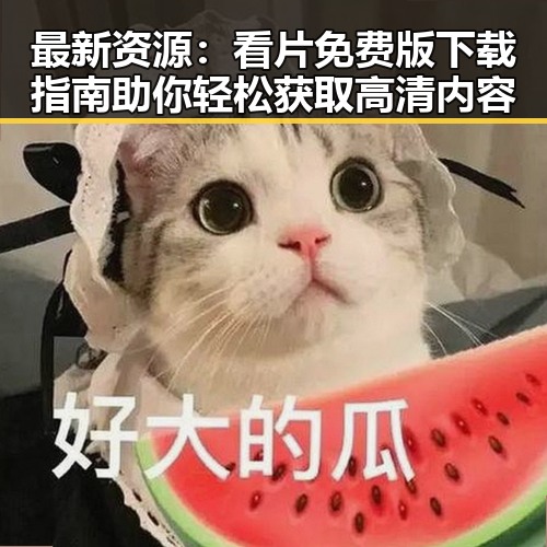 最新资源:看片免费版下载指南助你轻松获取高清内容