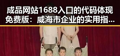 成品网站1688入口的代码体现免费版：威海市企业的实用指南