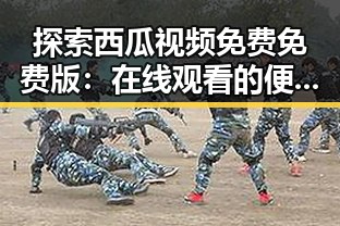 探索西瓜视频免费免费版：在线观看的便捷新体验