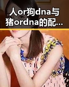 人or狗dna与猪ordna的配合与防治官方版:全面解析