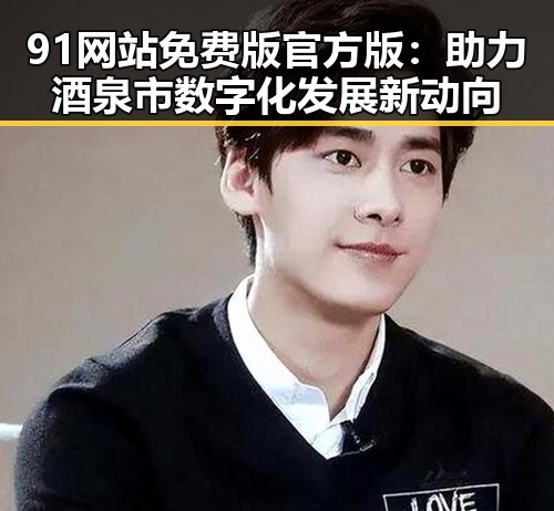 91网站免费版官方版：助力酒泉市数字化发展新动向