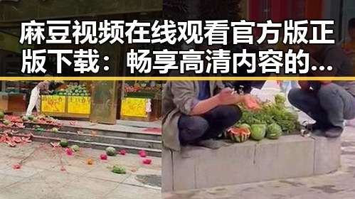 麻豆视频在线观看官方版正版下载：畅享高清内容的新体验