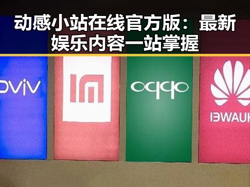 动感小站在线官方版:最新娱乐内容一站掌握