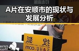 A片在安顺市的现状与发展分析