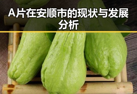 A片在安顺市的现状与发展分析