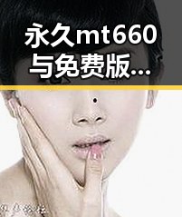 永久mt660与免费版:大连市用户的最新选择指南