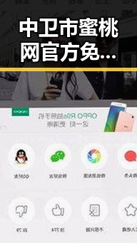 中卫市蜜桃网官方免费版详解——最新资源推荐