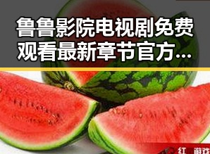 鲁鲁影院电视剧免费观看最新章节官方版免费版：滨州市用户的新宠体验