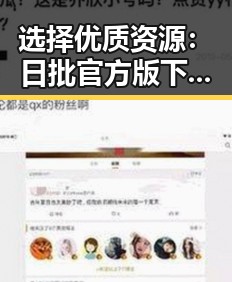 选择优质资源:日批官方版下载指南