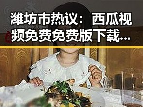 潍坊市热议：西瓜视频免费免费版下载成为焦点