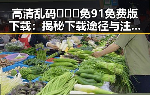 高清乱码🔞❌♋免91免费版下载：揭秘下载途径与注意事项