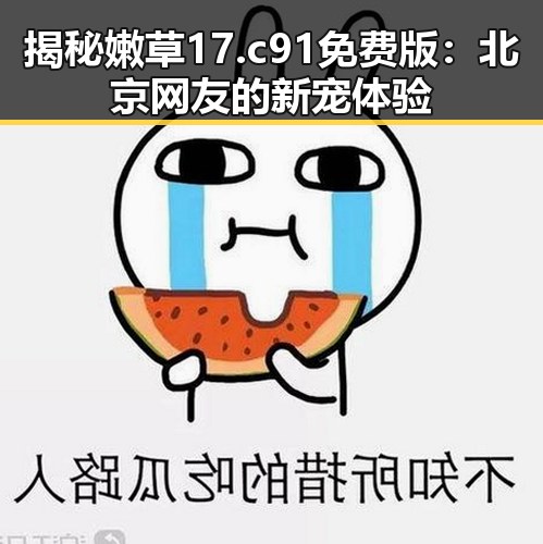 揭秘嫩草17.c 91免费版:北京网友的新宠体验