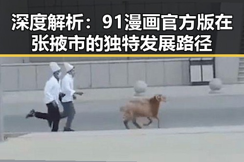 深度解析：91漫画官方版在张掖市的独特发展路径