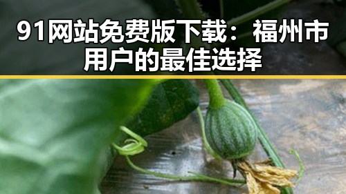 91网站免费版下载：福州市用户的最佳选择