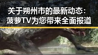 关于朔州市的最新动态：菠萝TV为您带来全面报道