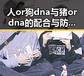 人or狗dna与猪ordna的配合与防治官方版下载:深入解析