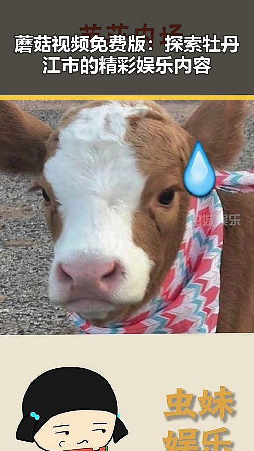 蘑菇视频免费版：探索牡丹江市的精彩娱乐内容