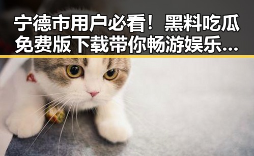 宁德市用户必看！黑料吃瓜免费版下载带你畅游娱乐八卦新体验