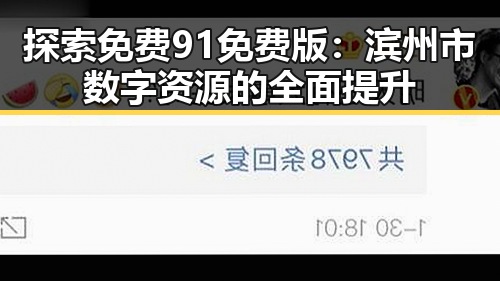 探索免费91免费版:滨州市数字资源的全面提升