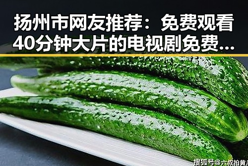 扬州市网友推荐:免费观看40分钟大片的电视剧免费版,轻松享受精彩内容