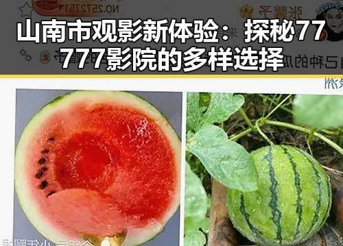 山南市观影新体验:探秘77777影院的多样选择
