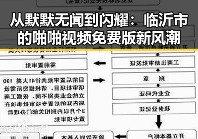 从默默无闻到闪耀:临沂市的啪啪视频免费版新风潮