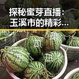 探秘蜜芽直播：玉溪市的精彩直播新体验