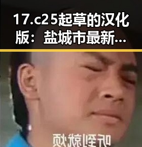 17.c25起草的汉化版：盐城市最新研究成果引发关注