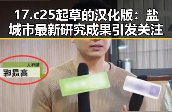 17.c25起草的汉化版:盐城市最新研究成果引发关注