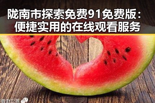 陇南市探索免费91免费版:便捷实用的在线观看服务