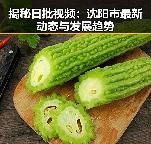 揭秘日批视频：沈阳市最新动态与发展趋势
