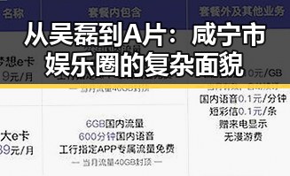 从吴磊到A片：咸宁市娱乐圈的复杂面貌