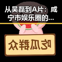 从吴磊到A片：咸宁市娱乐圈的复杂面貌