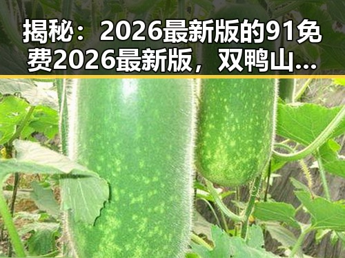 揭秘：2026最新版的91免费2026最新版，双鸭山市用户的最新选择