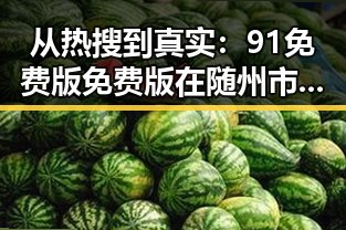 从热搜到真实：91免费版免费版在随州市的广泛应用与变化