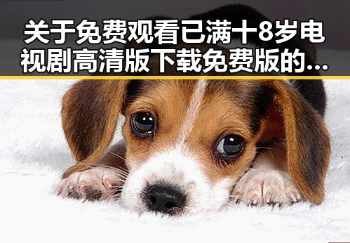 关于 免费观看已满十8岁电视剧高清版下载免费版的详细介绍