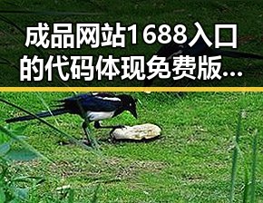 成品网站1688入口的代码体现免费版——绵阳市开发者的实用指南