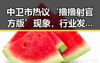 中卫市热议‘撸撸射官方版’现象，行业发展迎来新局面