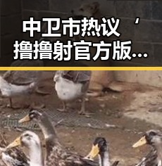 中卫市热议‘撸撸射官方版’现象，行业发展迎来新局面