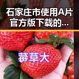 石家庄市使用A片官方版下载的最新指南