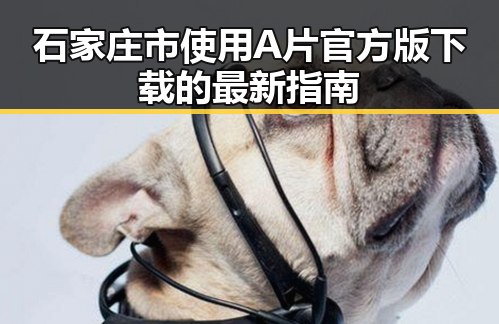 石家庄市使用A片官方版下载的最新指南